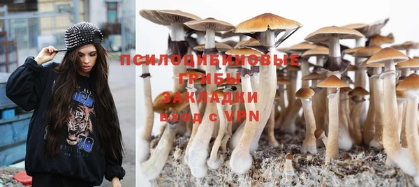 кокс Абдулино